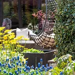 Отель Wellnesshotel Seeschloesschen - Privat- & Naturresort Зенфтенберг