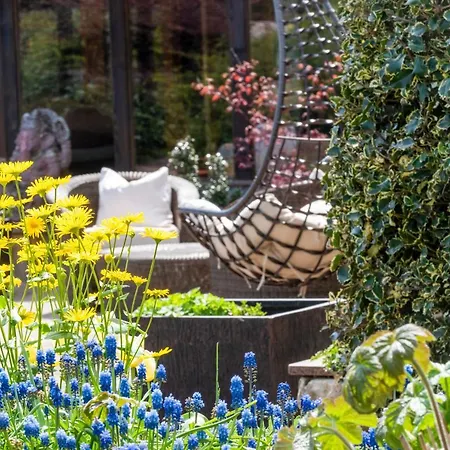 Отель Wellnesshotel Seeschloesschen - Privat- & Naturresort Зенфтенберг